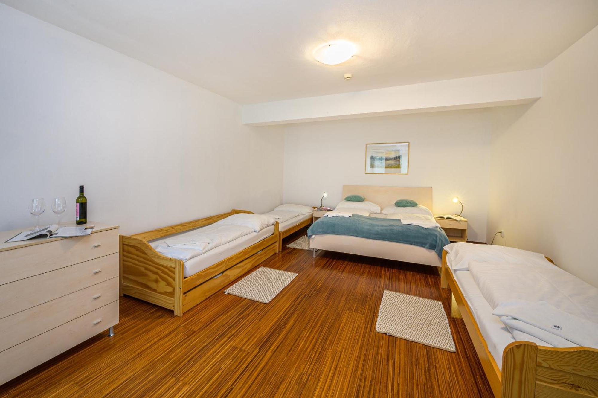 Wili Tatry Apartment