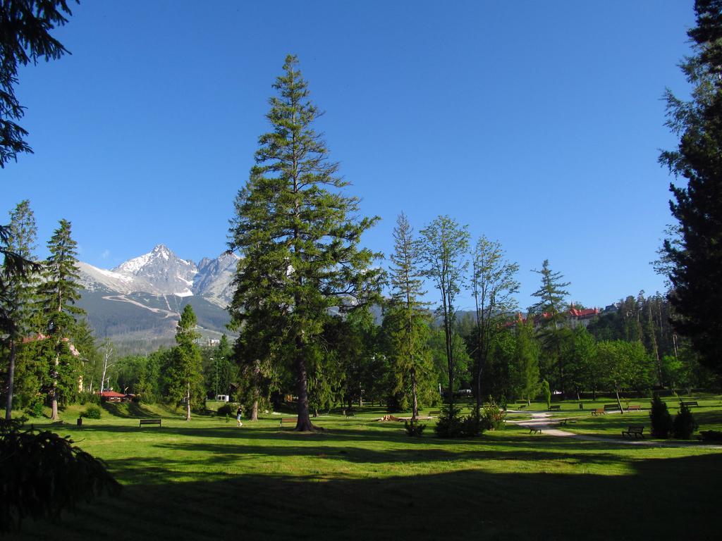 Wili Tatry Apartmán Tatranska Lomnica
